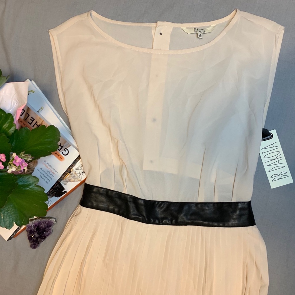 BB Dakota Pleated Skirt Dress • Open Back+Buttons